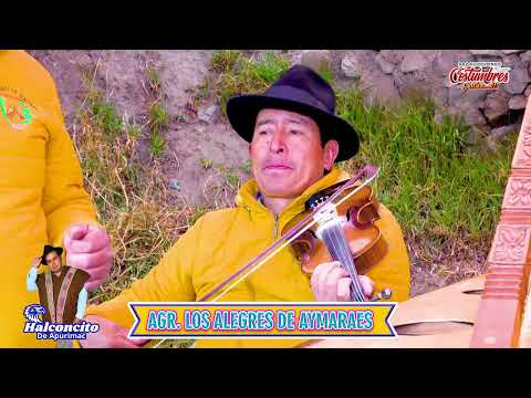 HUAYNO SENTIMENTAL - LINDA ANDAHUAYLIA - CON ALCONCITO DE APURIMAC  Y LOS ALEGRES DE AYMARAES