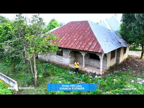  SWAIF SOUQ TUNAUZA ENEO LIPO KIANGA FLOWER ZANZIBAR  SHILINGI MILONI 130 - 0714 249514 