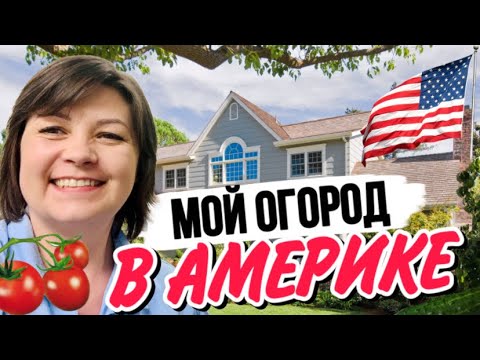 , title : 'Мой огород в Америке. Так живут простые Американцы. Жизнь в США'