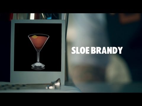 SLOE BRANDY DRINK RECIPE - HOW TO MIX