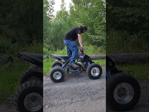 Raptor 250 / YZ 125 (144) engine!