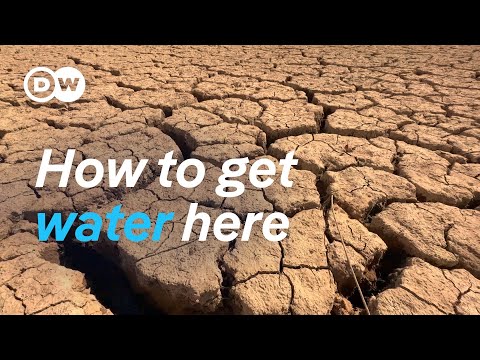 A Genius Solution for Water Scarcity | DW Documentary