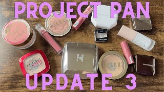 Project 10 Pan Update 3 | 4 Roll Outs!!! | April 2025