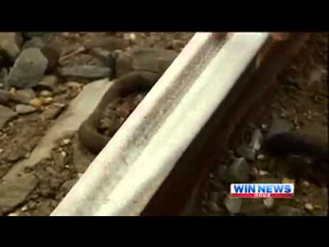 WIN News Gippsland V Line test trains