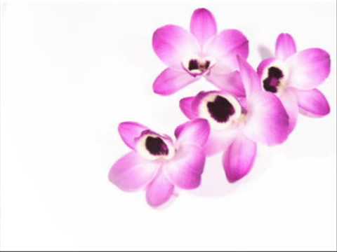 Down at the Coffeeshop --Katie Goes to tokyo