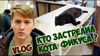 VLOG ● КТО УБUЛ КОТА ФИКУСА ? ● В ГОСТЯХ У МАМАХОХОТАЛА