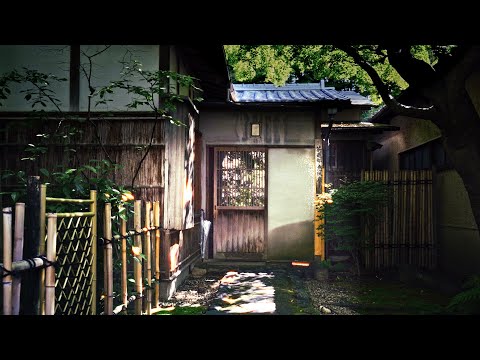 文学言語学科 【関学生TODAY】茶道部 / Tea Ceremony Club