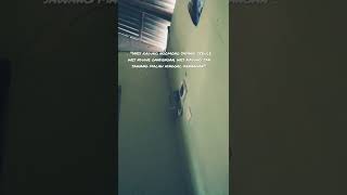 Download lagu story wa bahasa jawa mp3