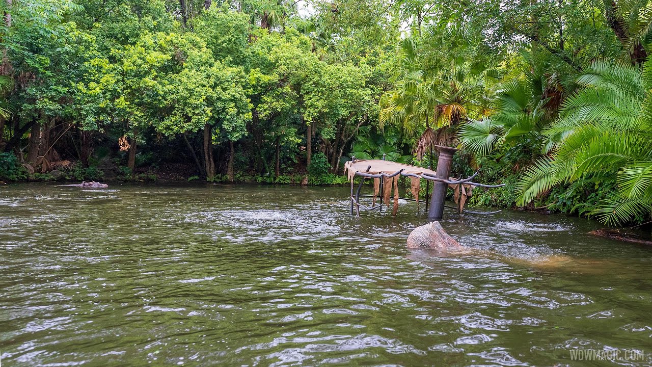 New Sunken Boat added to the Jungle Cruise