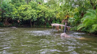 New Sunken Boat added to the Jungle Cruise
