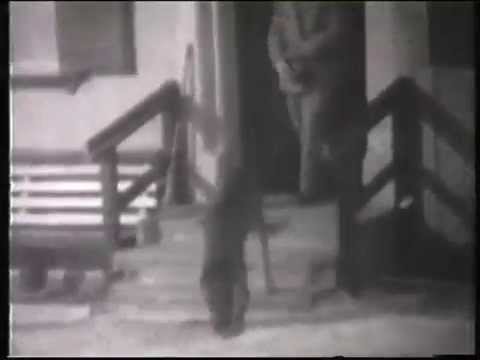 Abdrushin, Mária, Irmingard