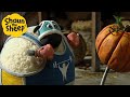 Shaun The Sheep Shirely Gets In Shape ‍ ️ Full Episodes Compilation 1 Hour