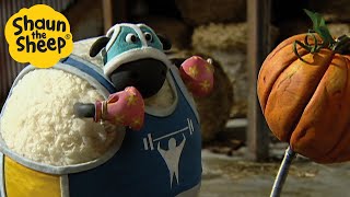 Download lagu Shaun the Sheep 🐑 Shirely Gets in Shape 🏃‍♂️💪 Full Episodes Compilation [1 hour] mp3
