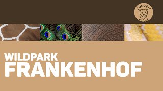 WILDPARK FRANKENHOF • Rundgang mit Abenteuerspielplatz und tierischen 