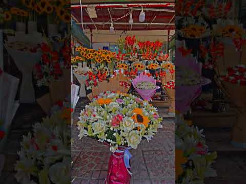 good morning. #reels #reels #instantmessagingapp #love #automobile