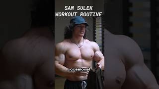 SAM SULEK WORKOUT ROUTINE | SPLITS #samsulek #samsulekworkout #samsulekshorts #workoutroutine