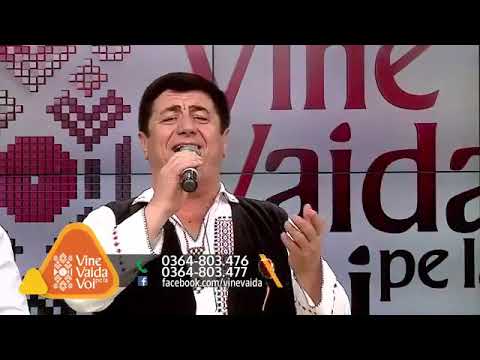 Aurel Șuteu - Sus in dealu' de la Urca (live)