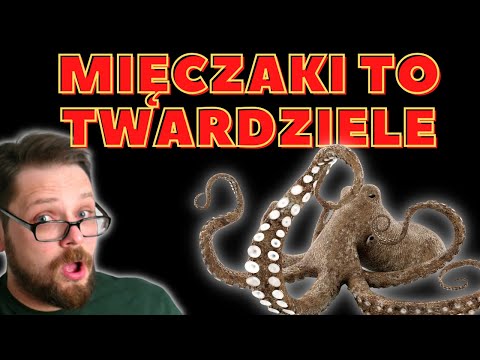 Mięczaki to twardziele... ślimaki, małże i głowonogi