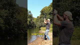 Download lagu Menangkap Ikan Paling Invasif di Dunia 😮🐟 (bagian 3) #memancing #shorts mp3