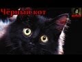 Чёрный кот (рассказ) 