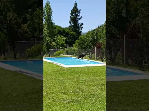 De paseo nuevamente! Terminando el año con un nuevo viaje, está vez Los Reartes Córdoba🐶🐶❤️❤️