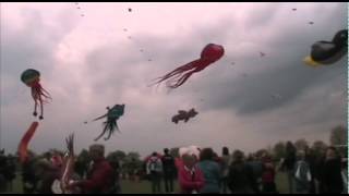 preview picture of video 'Les 24h du Cerf-volant à Brie-Comte-Robert'