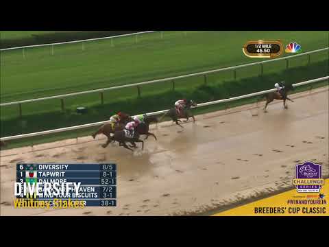 2018 Whitney Stakes - Diversify