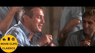 Cool Hand Luke (1967) - Bluffing at poker