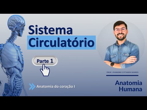 CIRCULATORY SYSTEM - PART 1 - ANATOMY OF THE HEART I