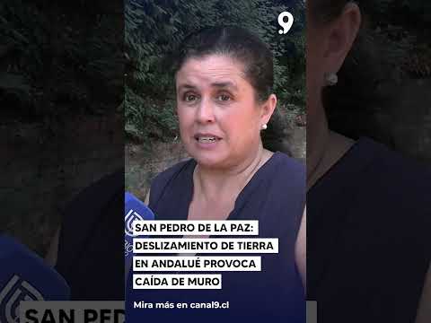San Pedro de la Paz: deslizamiento de tierra en Andalué provoca caída de muro