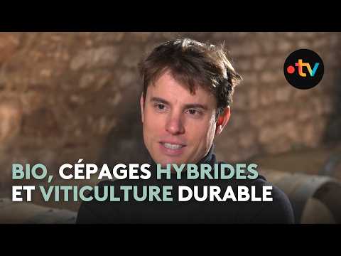 "Chez les vignerons, vous ne trouverez pas de climatosceptique" :  le portrait de Valentin Morel