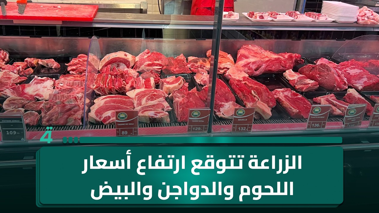 فيديو | حساب لإيداع الأموال المستردة من الفساد.. الزراعة تتوقع ارتفاع أسعار اللحوم والدواجن والبيض