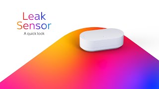 Sky Leak Sensor - a quick look at Water alerts & Incident escalation