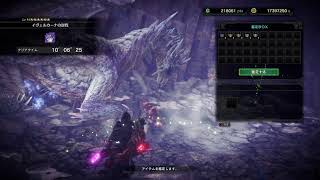 【MHWアイスボーン】なんかする！　【PS4】