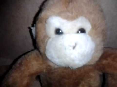 Zombie animal attack