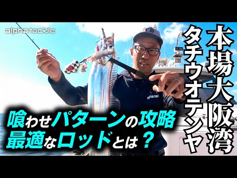 トップ | alphatackle トップ | alphatackle
