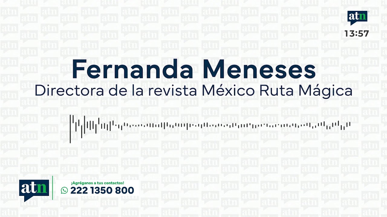 Ver transmisión en vivo