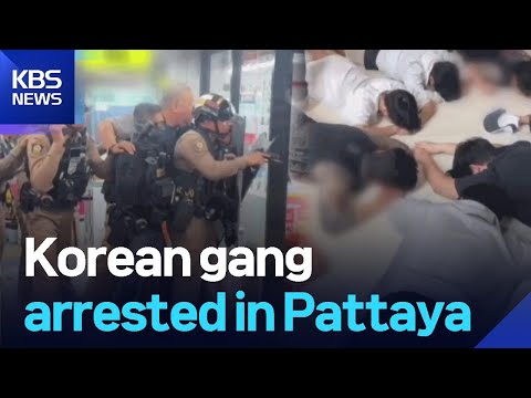 Korean gang arrested in Pattaya / KBS  2025.08.14.