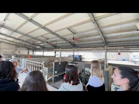 Uscita didattica allevamento