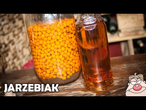 ROWNBERRY tincture - recipe for Rowanberry