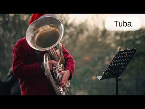 Tuba: Word Pronunciation - Read Along (Australian Accent) Picture Dictionary English
