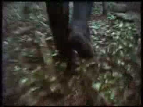 DJ Michelangelo & VJ Light - Set 1 \ www.DJMichelangelo.ru