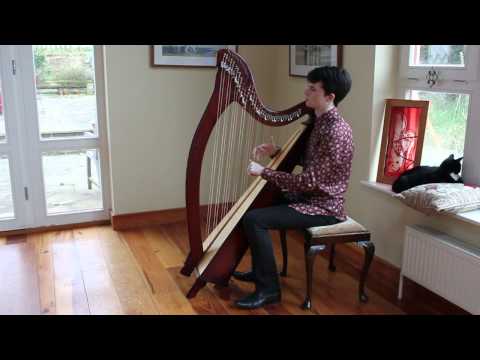 Fiachra - The Irish Lamentation