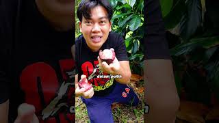 Download lagu Buah Manggis Dalam Loghat/Dielek Kelantan #kelate # #kelantan #dikelate mp3 Download lagu Buah Manggis Dalam Loghat/Dielek Kelantan #kelate # #kelantan #dikelate mp3