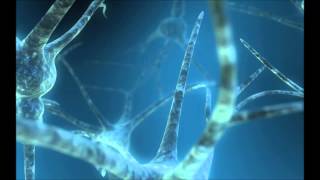 drugstore woman - Budgie