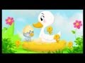 Histoire Pour Enfants Le Vilain Petit Canard