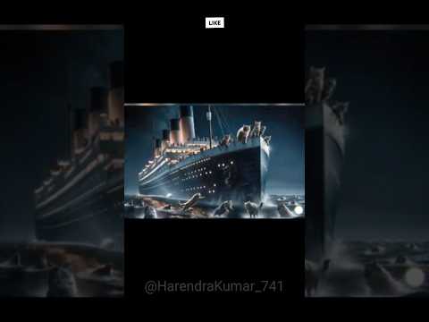 ||Titanic cat love story ♥️♥️♥️♥️♥️♥️😭😭😭😭#||Shorts#funny#entertainment#cartoon#||