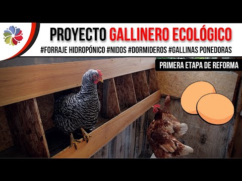 , title : '🐔 COMO CONSTRUIMOS nuestro GALLINERO ECOLÓGICO ⭐ Consejos, ideas y medidas para hacer tu gallinero'