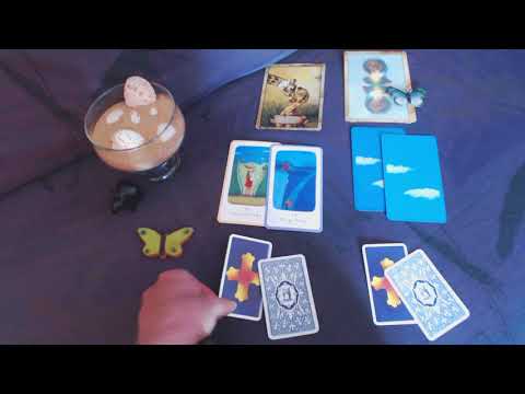 Wochenlegung 23.08. - 30.08.18