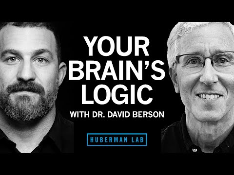 Your Brain's Logic & Function | Dr. David Berson